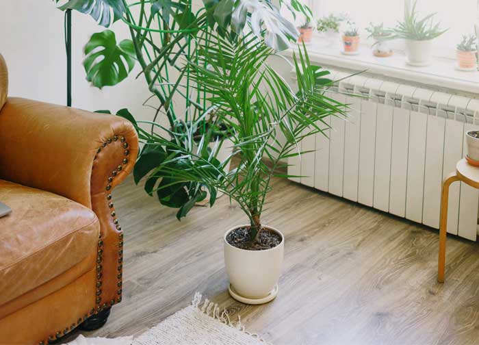 Soundproofing Flooring