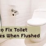 Toilet bubbles When Flushed