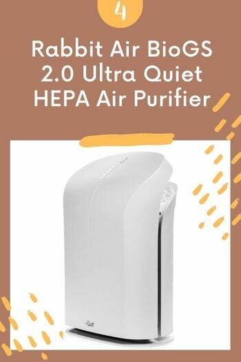 Rabbit Air BioGS 2.0 Ultra Quiet HEPA Air Purifier