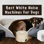 White Noise machines for dogs