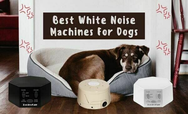 White Noise machines for dogs